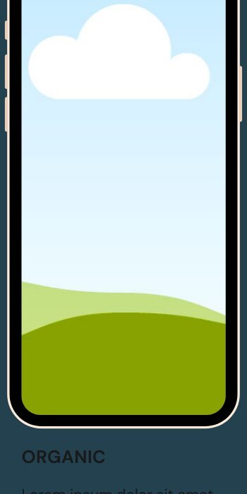 UGC Photos and Videos